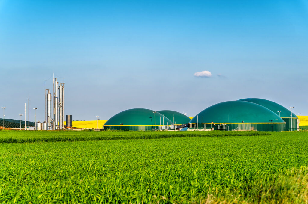 Joint Policy Position Paper: Eurogas and European Biogas Association