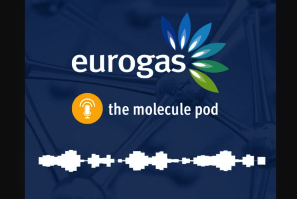 Ep.1 | The missing link to the European hydrogen market? The Union database
