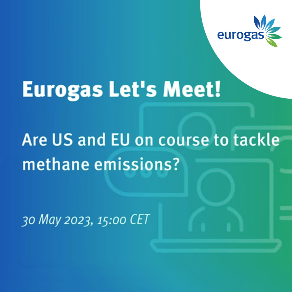 WATCH  | Are the US and EU on course to tackle methane emissions?