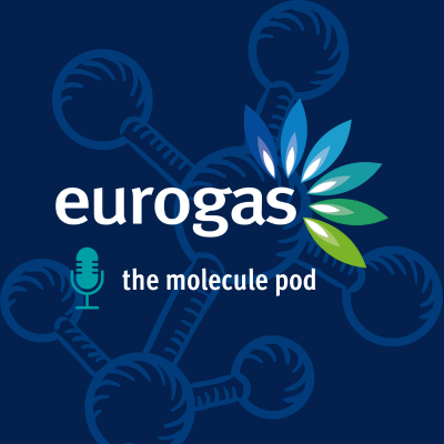 Eurogas Molecule Pod 2 | Joint gas purchasing in Europe: so far a success?