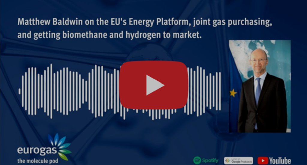 PODCAST | Joint gas purchasing in Europe: so far a success?