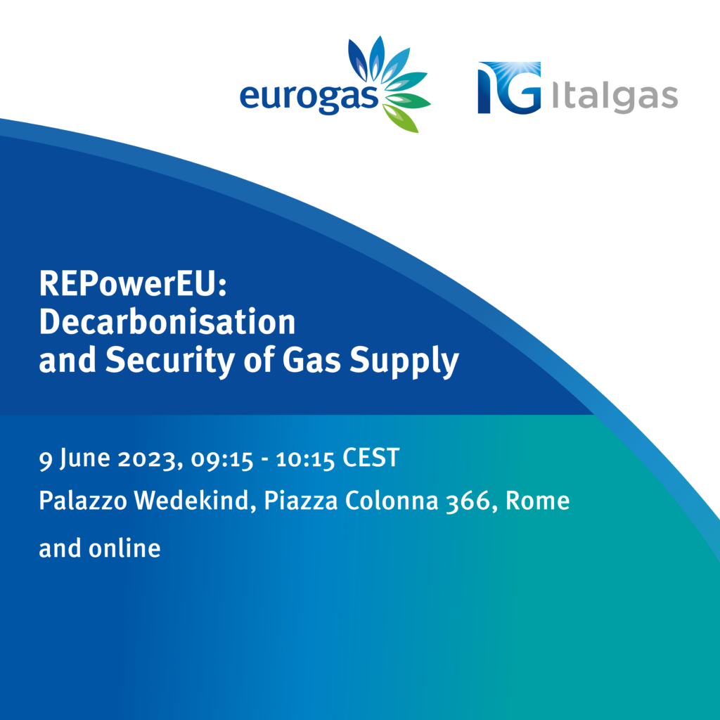 REPowerEU: Decarbonisation and Security of Gas Supply