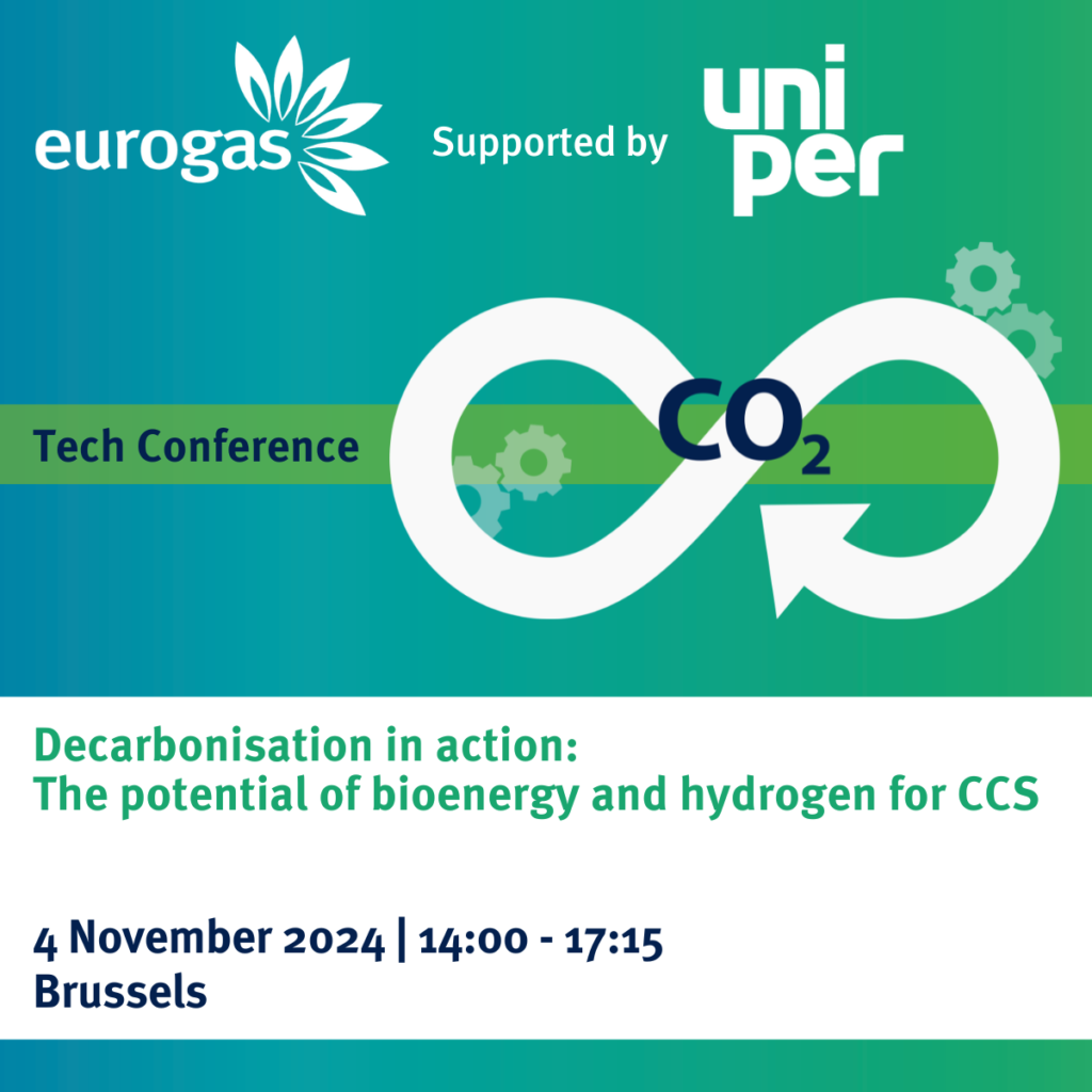 Eurogas Tech Conference ‘Decarbonisation in action: The potential of bioenergy and hydrogen for CCS’