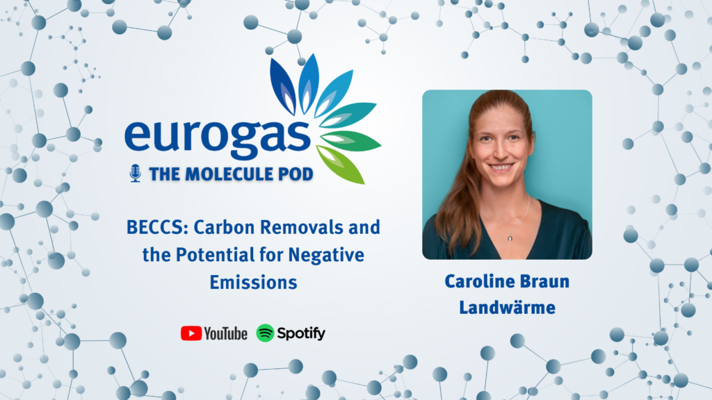 Eurogas Molecule Pod 8 | BECCS: Bioenergy with Carbon Capture and Storage