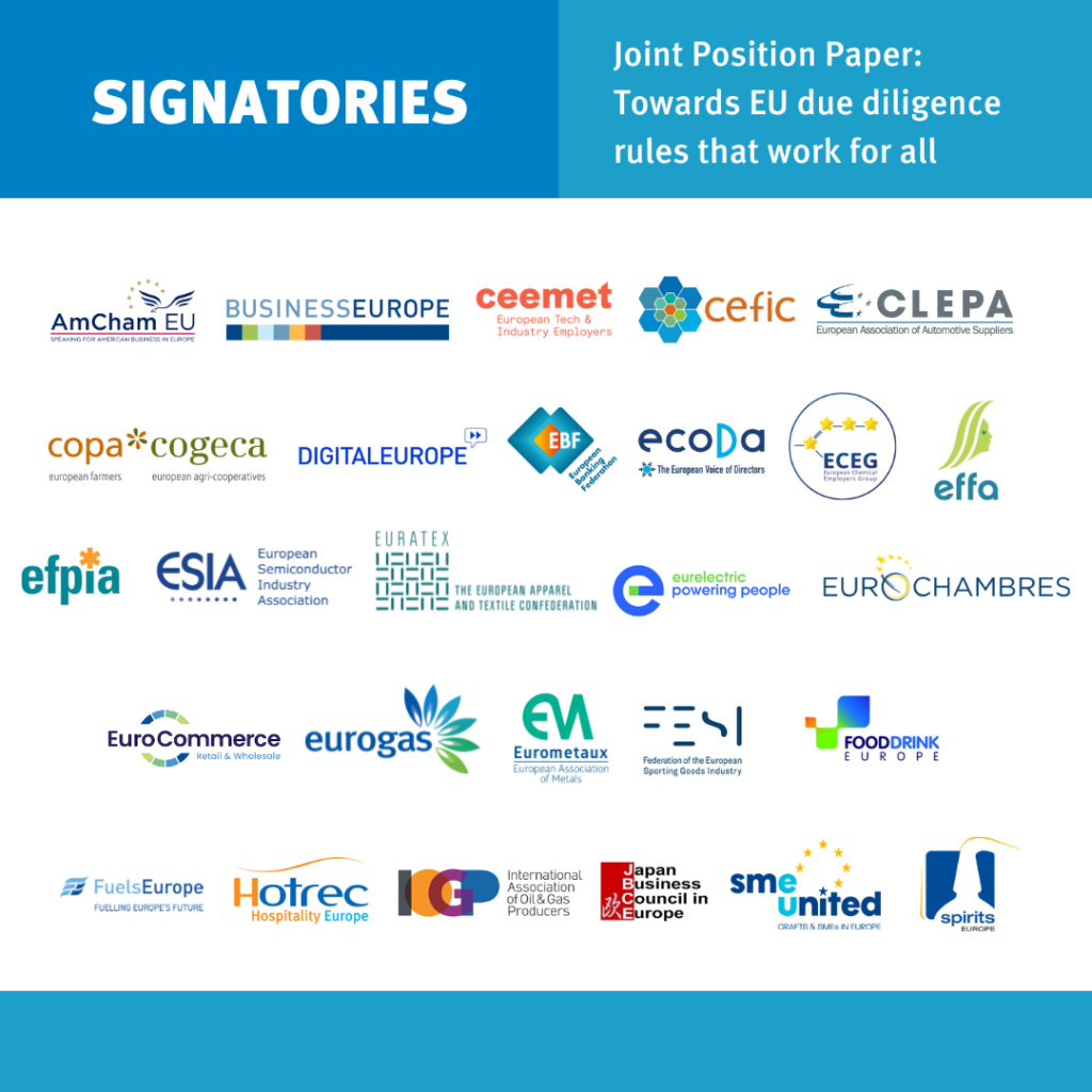 Joint statement: towards EU due diligence rules that work for all